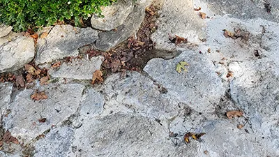 rocks in a path